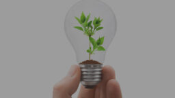 Renewable Energy - Lightbulb with growing plant inside