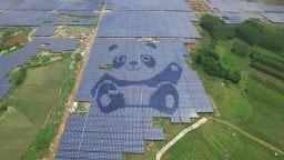 panda solar farms