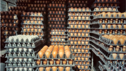 Eggs in warehouse (EWH Foods CS)