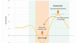 chart showing electricity network peak and trough in South Australia