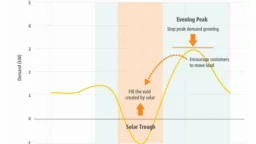 chart showing electricity network peak and trough in South Australia