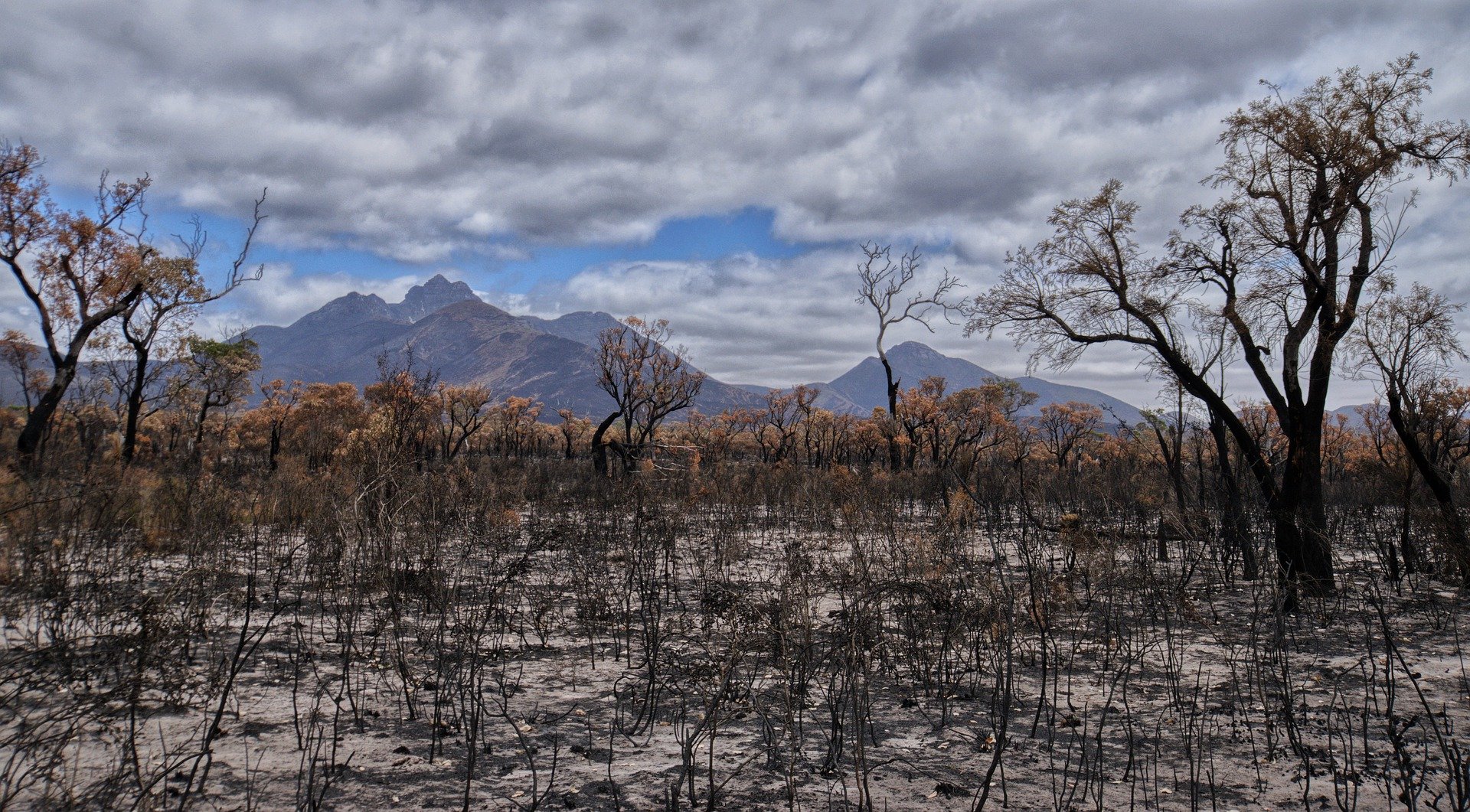 bushfire damage shows how the climate and weather affect electricity prices