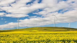 Renewable energy in the spring - Lower prices, higher capacity header