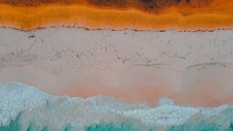 November 2024 electricity market review header - beach